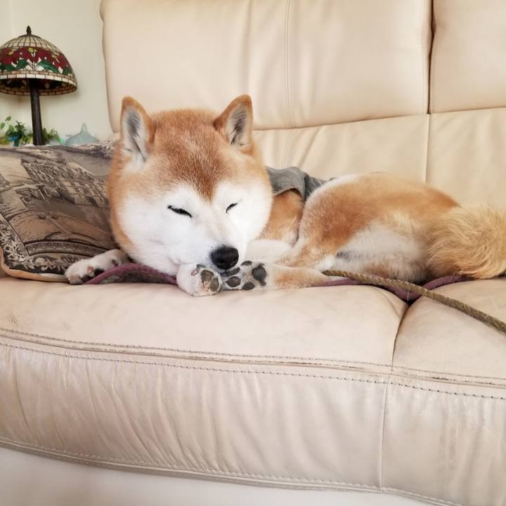 C49ea28b 2e06 43e0 ae4d dd42b30693b1 1679181958120