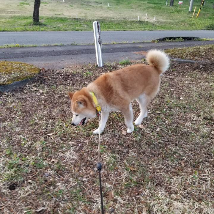 C49eaaeb acc3 412a 987a d9c39d3e6578 1681980247187