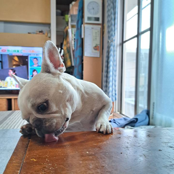 C49ed4a9 9f6d 4a62 b0b0 f175e788b386 1727999637779