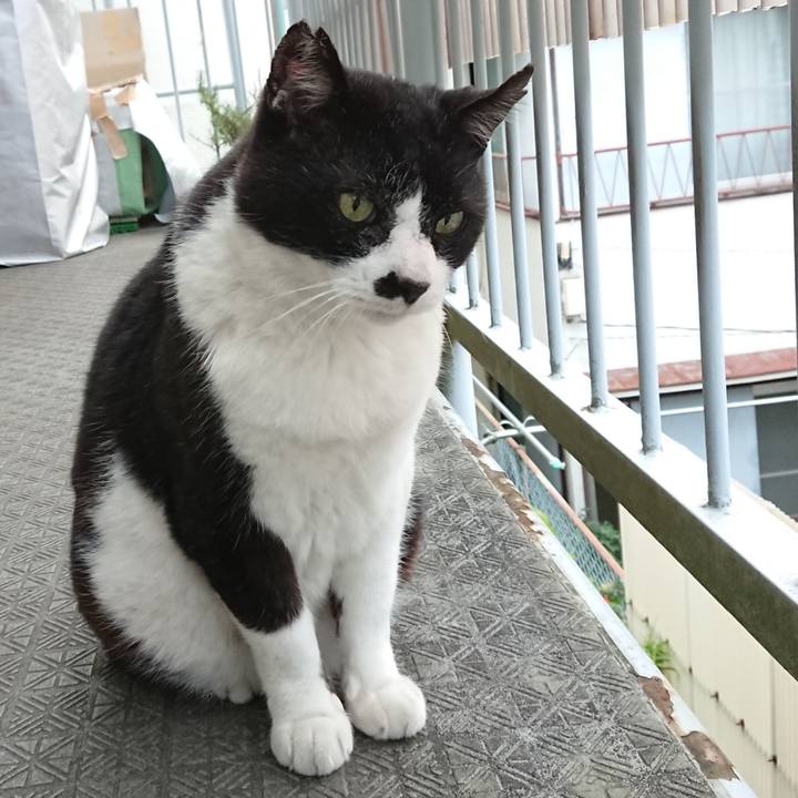 C49edcdb 74da 4139 b382 f4d31ffab9ca 1621845360323