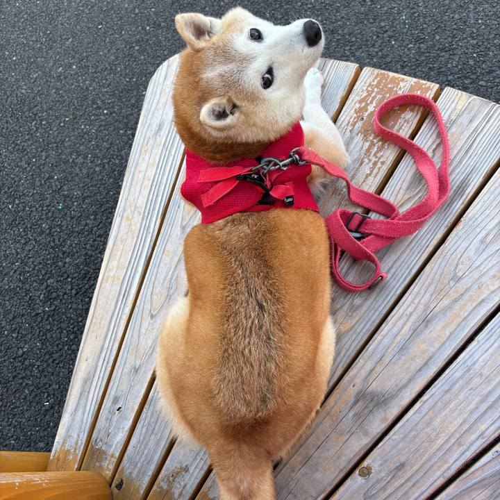 C49eddd9 85a9 4e87 8754 c81439c9b824 1753734927042