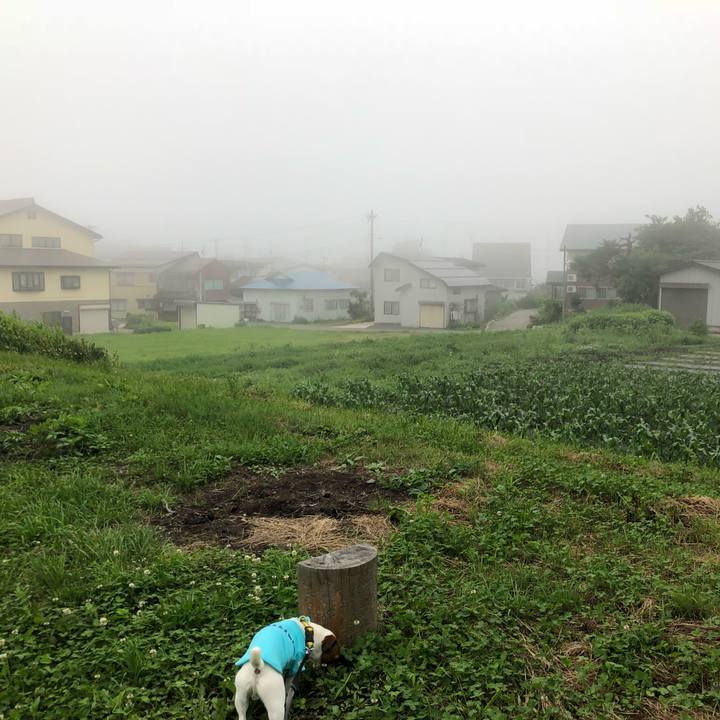 C49ee80d e822 4d8e aa17 0eb72595fc27 1530259300722