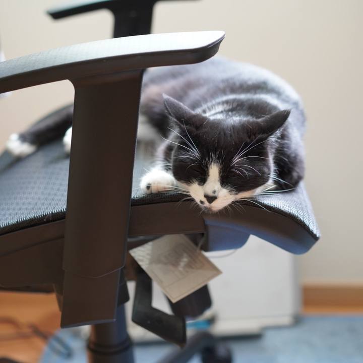 C49ef0ed 2001 4c3d 9941 1e2de96918a4 1622605083906