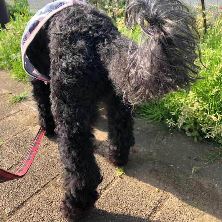 C49f289b 7309 496d 922f 36cfb6e89e76 1555916771309