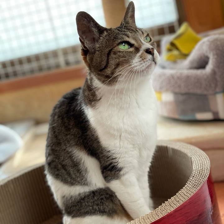 C49f30f0 b61f 4a12 990d c8e70bcbd2de 1619746321628