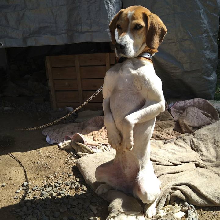 C49f70a3 4268 4310 bd91 d0fbee720085 1650376641564