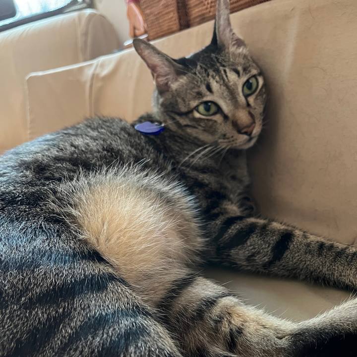 C49f8d08 9fc9 4a84 ba83 b8d9be3acf38 1766040934613