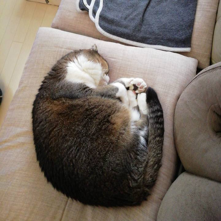 C49fa613 5ee9 4236 a88c 1de2c65cd7c6 1738464729596