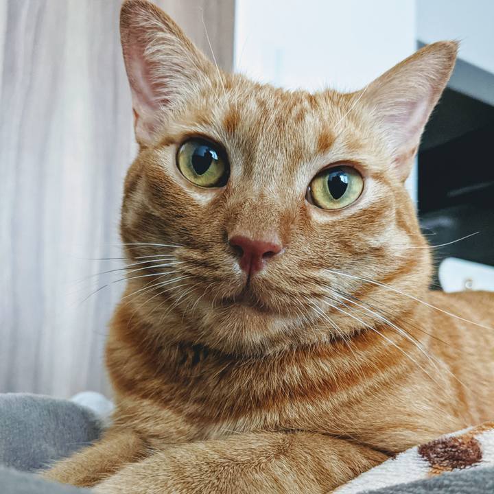 C49fb8f5 253c 494f 9bf0 39fcf1739e43 1624660149313