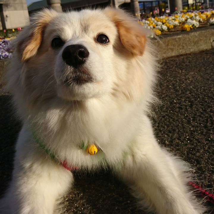 C49fc104 6ce4 404c 8a73 0eda80283acc 1523657340540