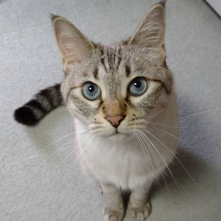 C49fda98 cbc4 4f71 bfee 71cc635a6fc0 1628411453151