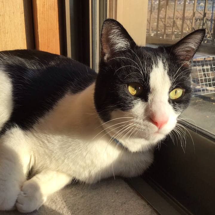 C49ff647 498e 42d3 8fd9 31960c04266c 1675590994806