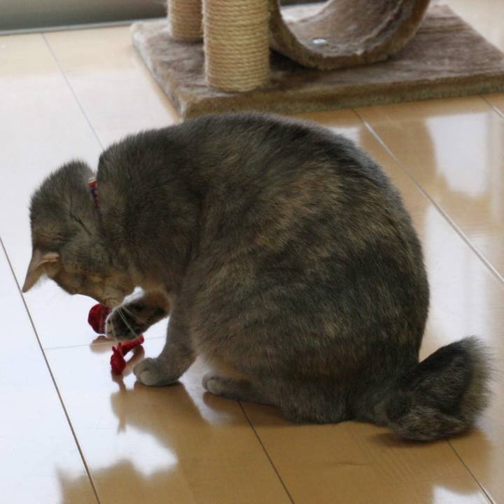 C4a00853 6dea 4e6f 9bdc 42838fa4a27c 1549935616534