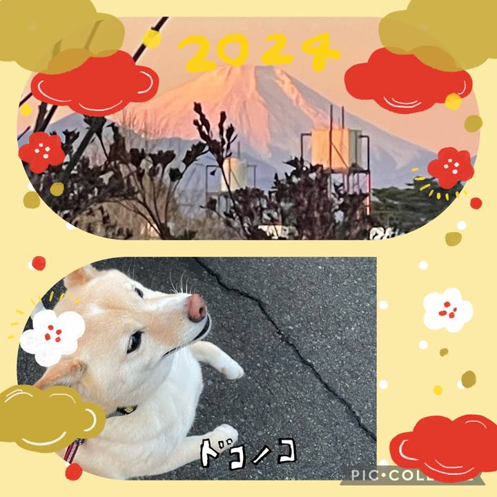 C4a01766 56fb 48b0 b4ed d74e9bfe7ed5 1704077676595