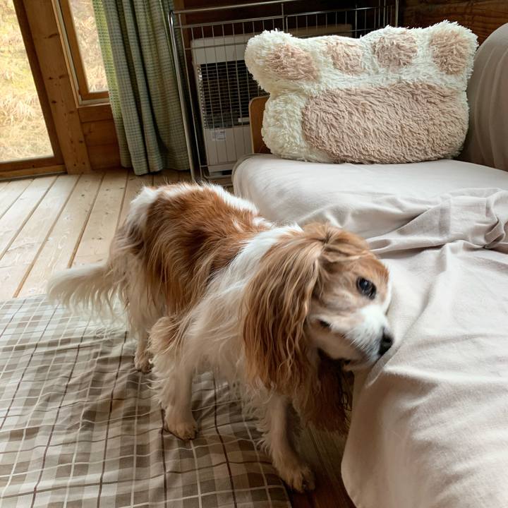 C4a01809 6cf5 4ea4 a64a b0a884b64279 1583908240243