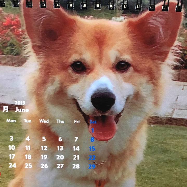 C4a07080 7208 4eb9 96af 31d8b79a99ce 1559569741189