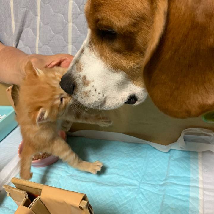 C4a077dc d8a6 4d6b b175 311d76c3bf2a 1570286530600