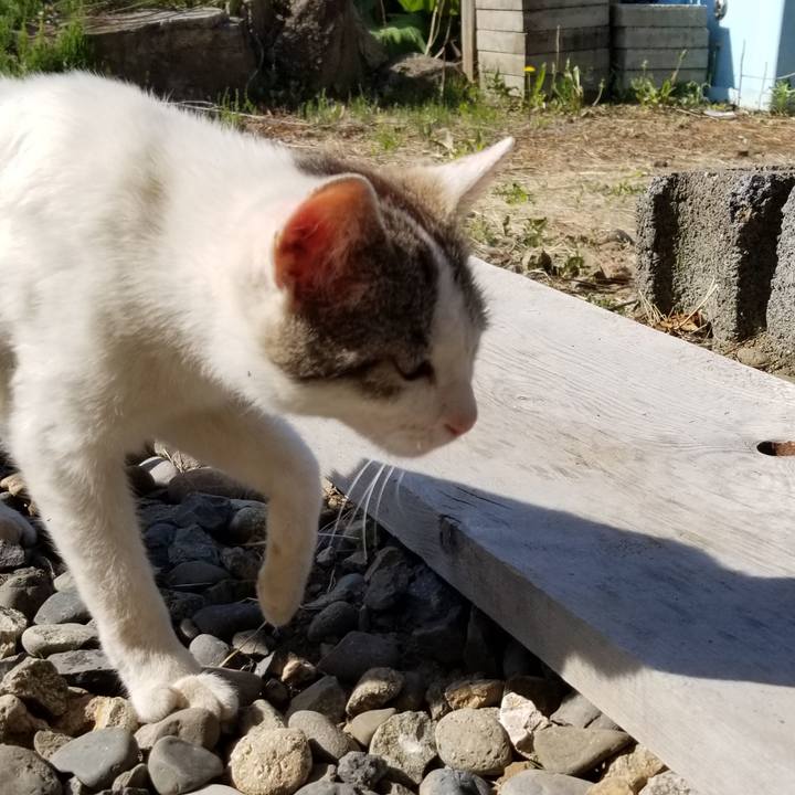 C4a0b4f4 8a8a 459f 8000 317053c3934b 1558917259812