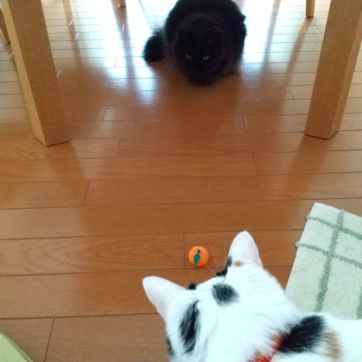 C4a0e945 f182 4e49 9934 7adbde1f9bea 1610422679726