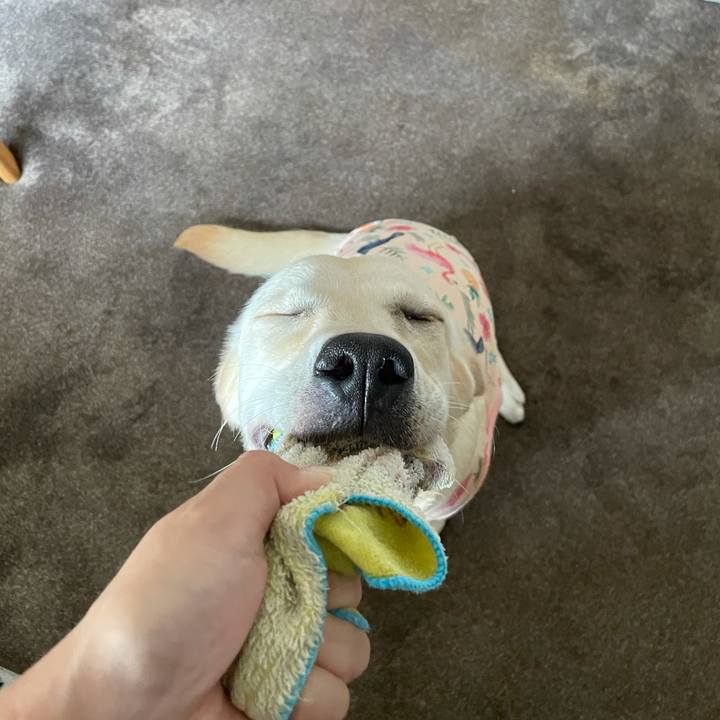 C4a0ecc4 f608 4994 bd79 f864182efbcb 1625292410021