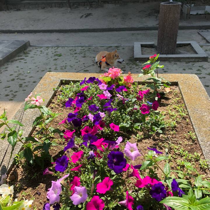 C4a109ef 9549 494f 8d58 af36063230b1 1559818498379