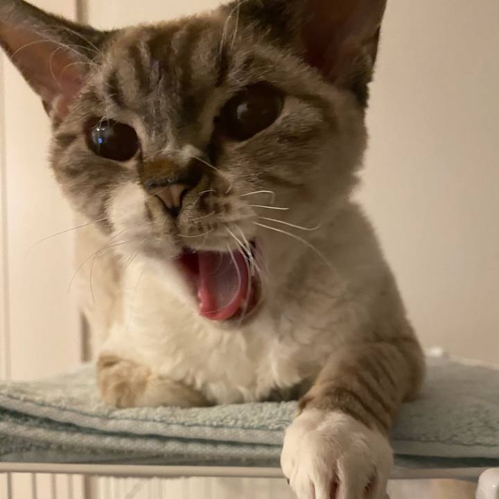 C4a11c4e 04a0 4871 8954 740d3f178a03 1602850340386