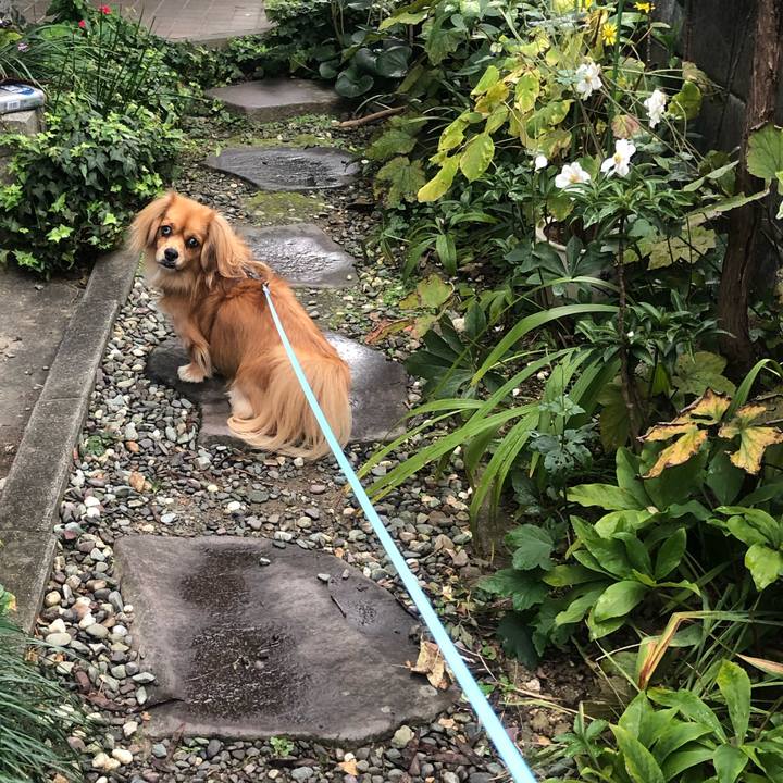 C4a125fa 2d18 4da9 8ab6 29302928fbf9 1541292066401