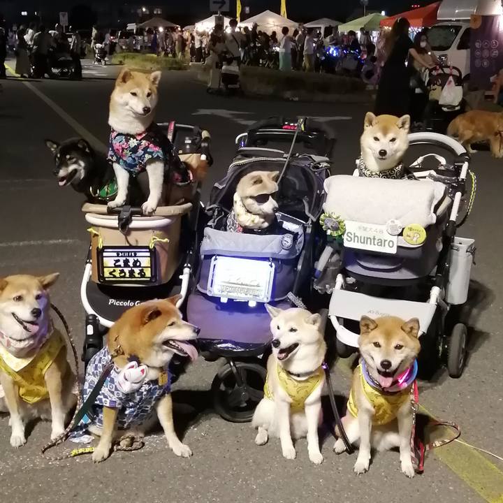 C4a149fb 0c78 406f aba1 cd6fdae6a988 1690715114060