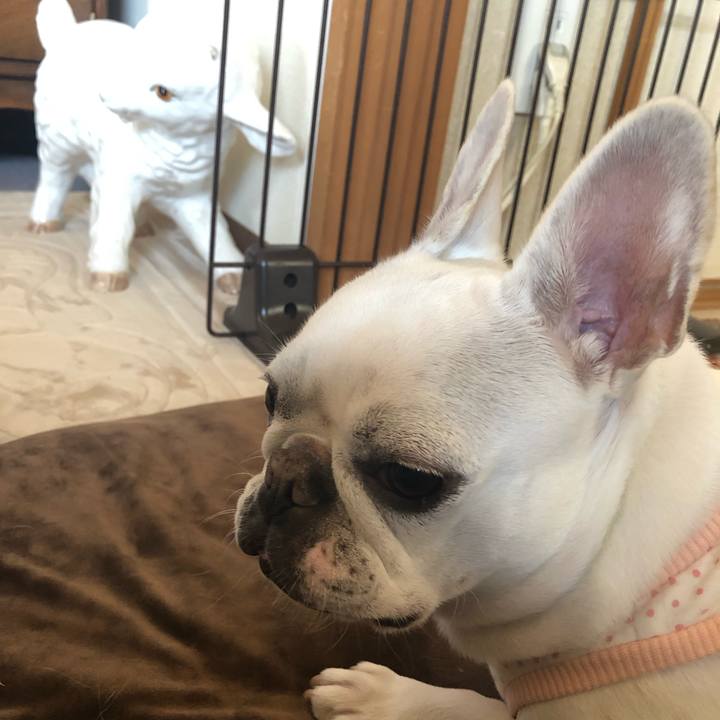 C4a18b44 4046 4821 8142 d77501ae1ed8 1551494269521