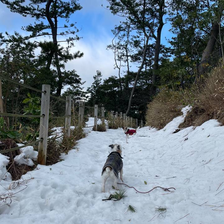 C4a19a70 df52 4e9b 9b1c 786d43d5eb71 1671932582873