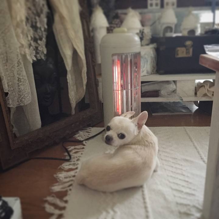 C4a1c65b c5be 4650 bfde 316eb14ee439 1508049756114