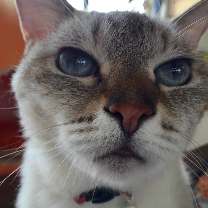 C4a1f005 834c 4b1b b39f d97f41109088 1531806331992