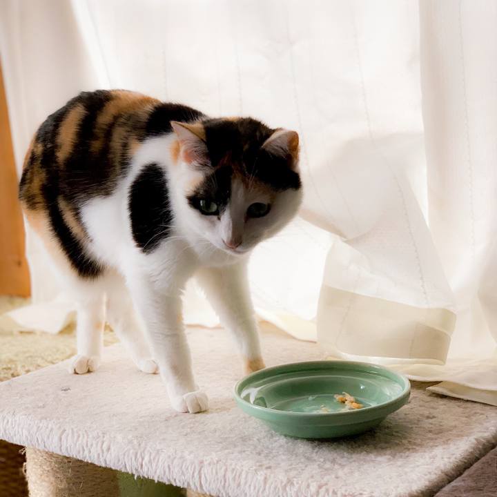 C4a249ef dfec 43aa af74 fc9d7c02794b 1563328146128