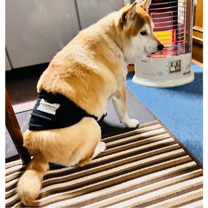 C4a2d097 7c2e 4750 a05c 1888702c219f 1732065746983