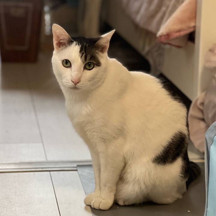 C4a312d8 673e 4f3c 837a a393bc0ce871 1685888062382