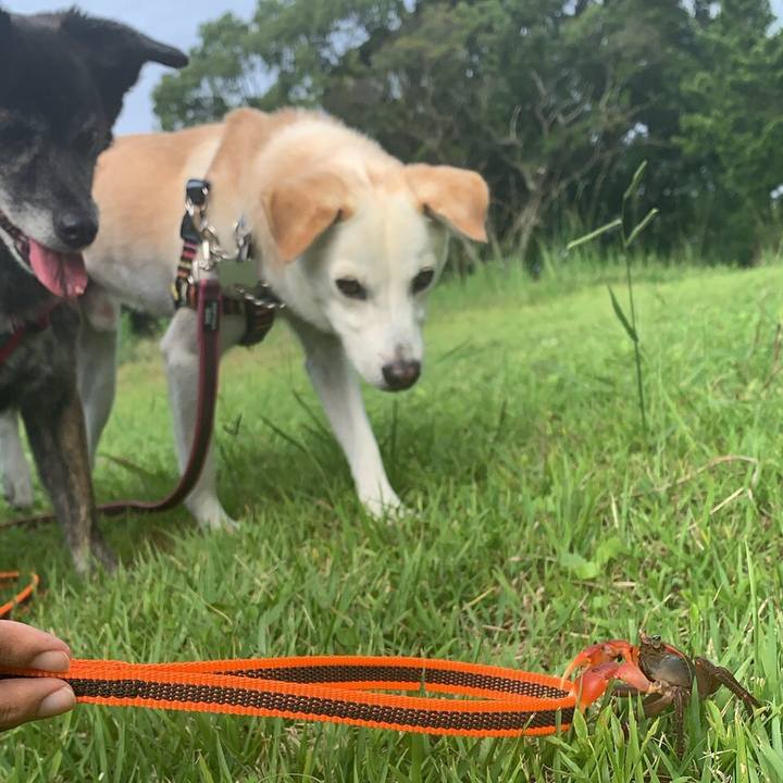 C4a34e33 1932 4388 8234 667990ebae8a 1629285731668