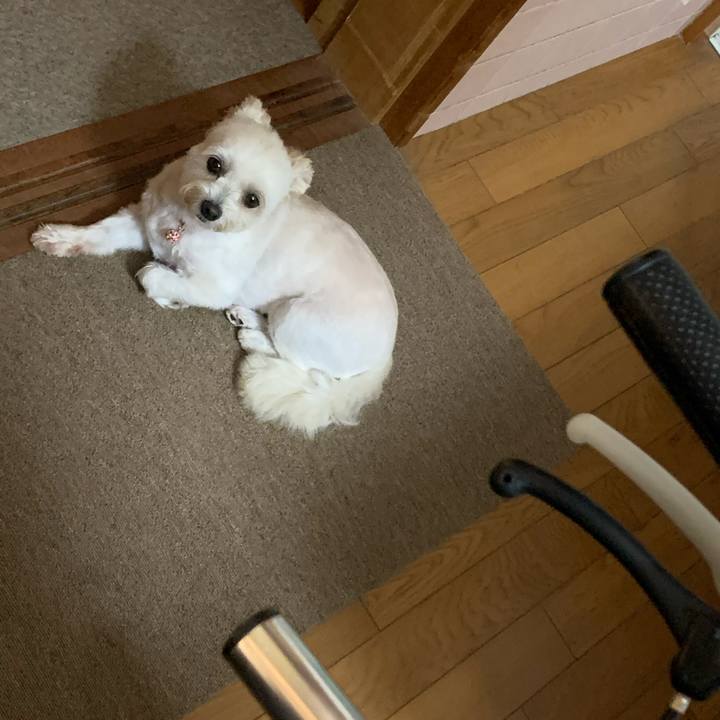 C4a3a65e 04cb 4131 a198 2deceec73f7e 1596020733254