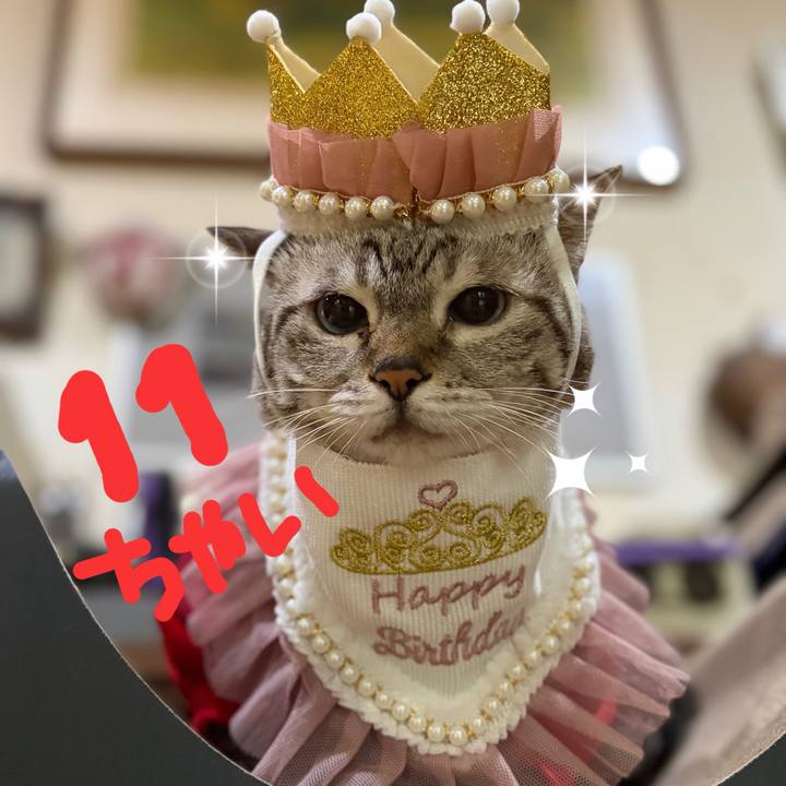 C4a3c6ca 9710 4c91 b8bc 9f1ee648601a 1761203046157