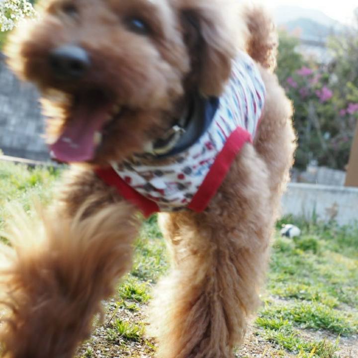 C4a3d267 2777 43f7 8117 7bcf209fce59 1523990175747