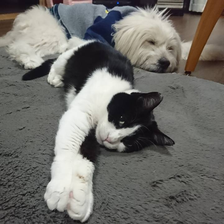 C4a423fc 14c3 4ecd 86d1 e20714bba568 1609675891935