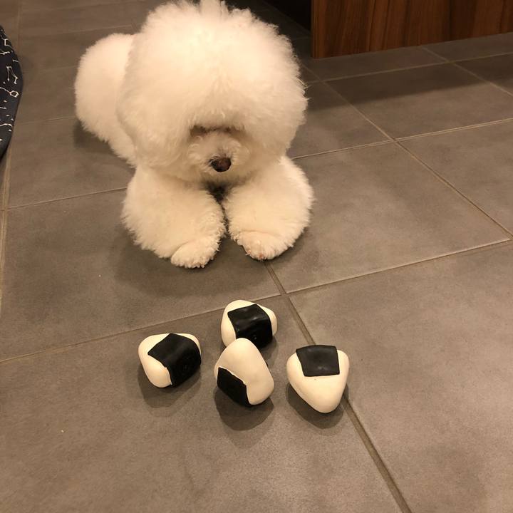 C4a427b2 f9d2 4c56 8c01 a4c7283d9ec2 1512482379609