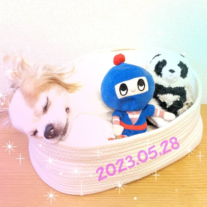 C4a466de daa4 47ed ade2 840783f0d483 1685281814876