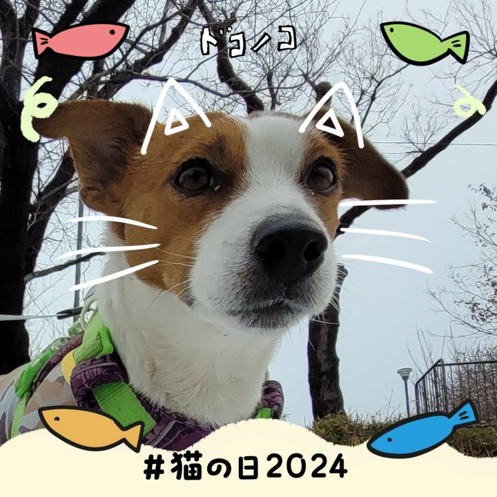 C4a46acc af56 435a 935a 87630899bed4 1708596011360