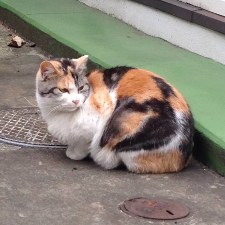 C4a481c8 d08a 4cc9 92aa 09808dec08f5 1512715615222