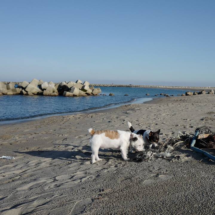 C4a4c776 8733 4e61 aaea e21720c94594 1540180401860