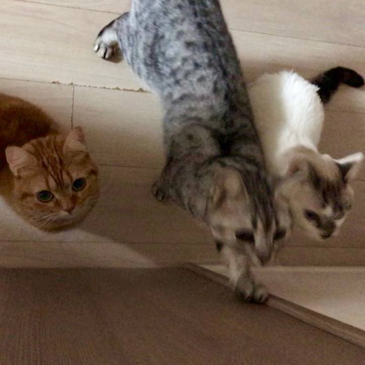 C4a4e553 b056 47f9 8080 1d7fd68c5218 1545556020813