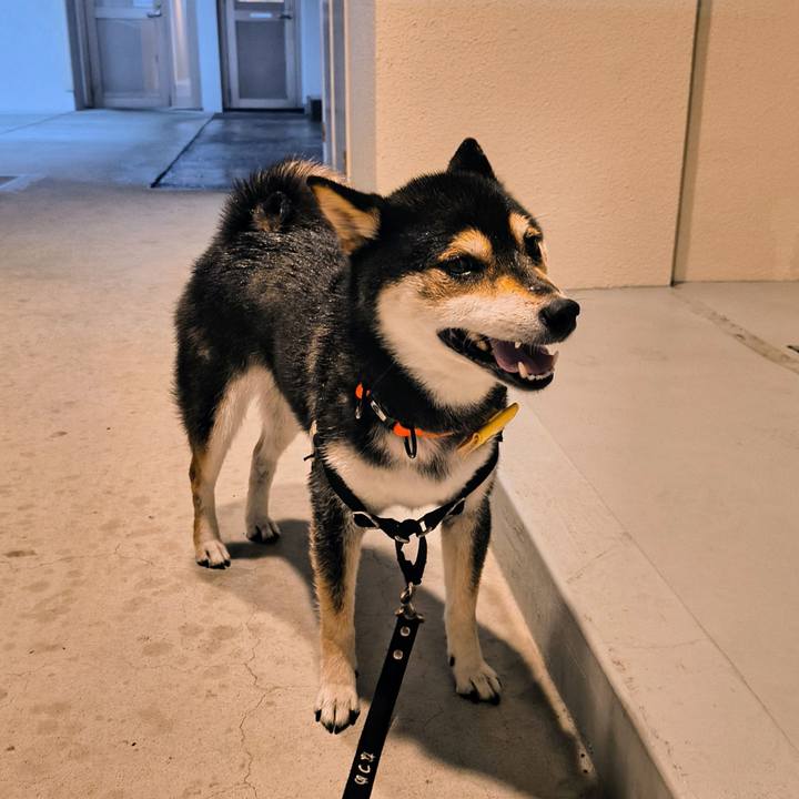 C4a4f341 f837 4819 8710 2df36ec4849f 1760633453480