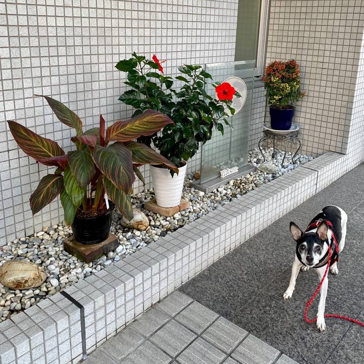 C4a5098b eea5 4731 ad93 90b2a9fe4e76 1633992273830