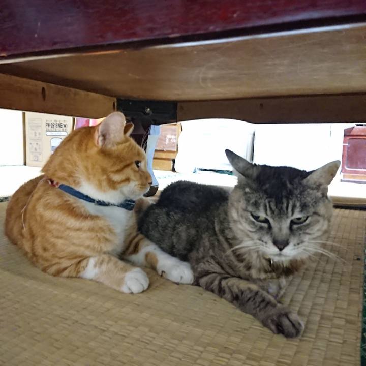 C4a515d2 f9b7 46f1 a700 cebdaa953475 1566304635814