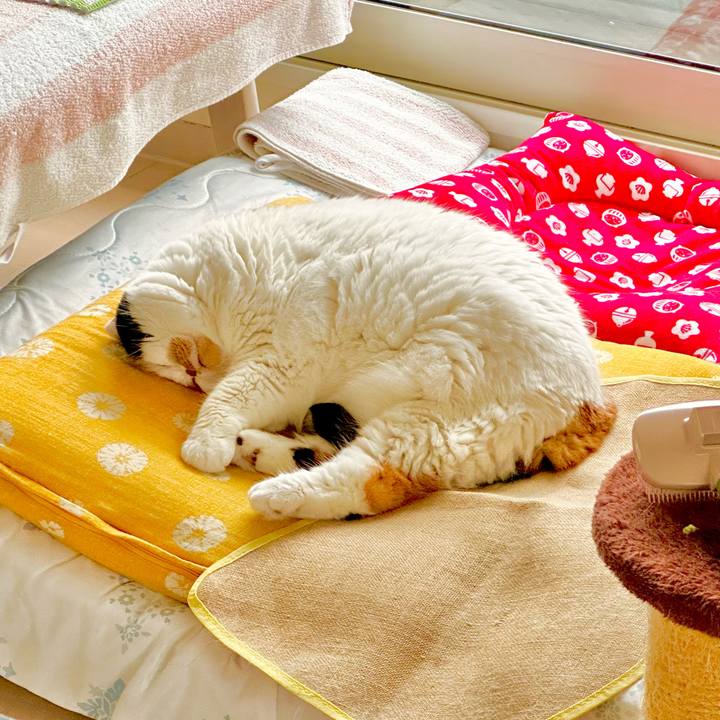 C4a5509d b21f 4d86 94b4 790883f2c069 1678857602890